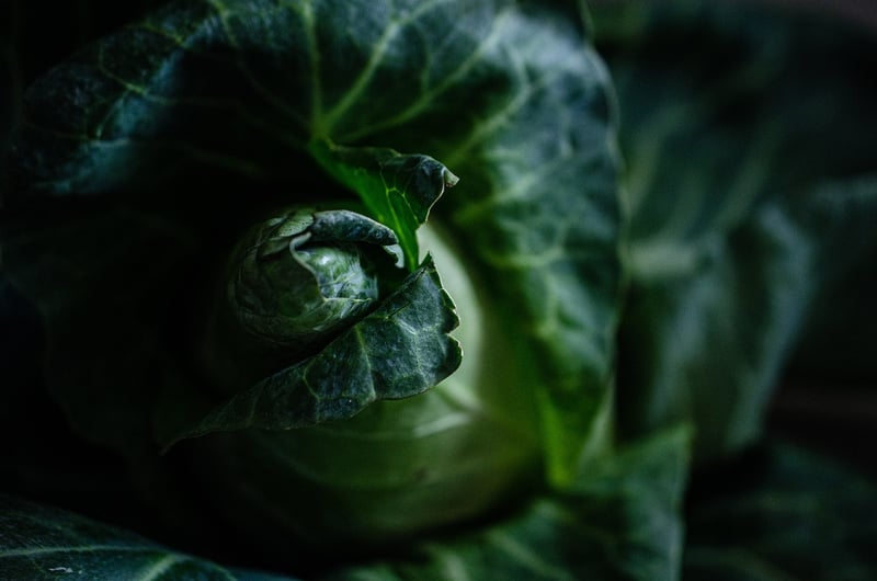 Fruits and Vegetables